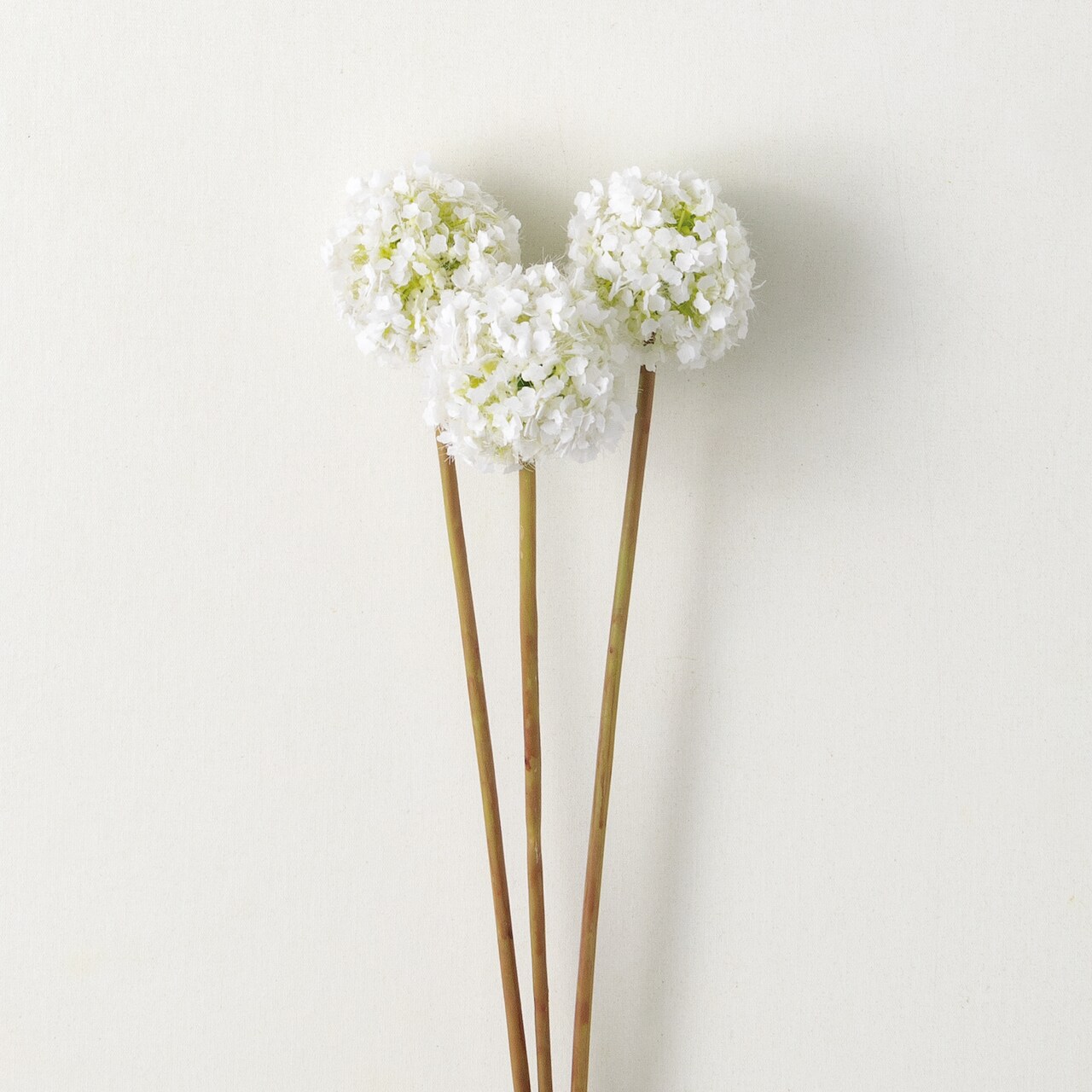 Sullivan's Allium Bunch, White Faux Floral Stem for Crafting, Weddings, Home and Holiday Decoration, 22 Inch